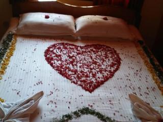 Tiger Woods Homestay Kabini - 6