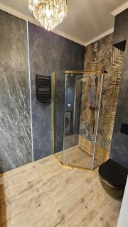 VIDOK Golden Lake Apartments by Warmia4rent nad jeziorem Ukiel - 3