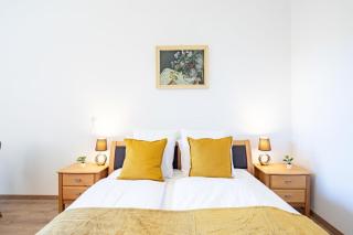 Central - Sunny - Cute - 9