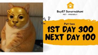 Comfy Hotels Self Check in คอมฟี่โฮเทล เช็คอินด้วยตัวเอง ซอยกิ่งแก้ว31ก - 9