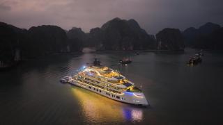 Tulip Cruise by HAG - 9