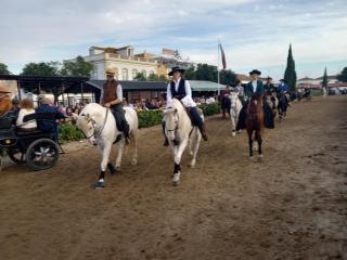 Quinta do Minhoto, Charming country House close to Golegã - 2
