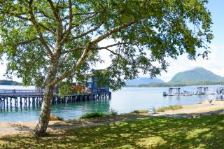 Island Village Properties at Fred Tibbs - 9