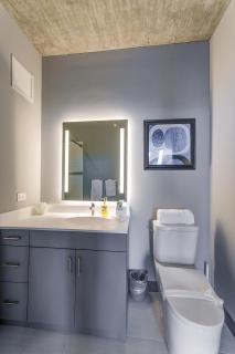 2BR Designer Loft Modern Luxe in City Center - Chicago - 5
