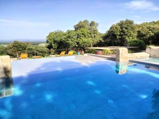 Mas provençal dans un lieu exceptionnel - 6