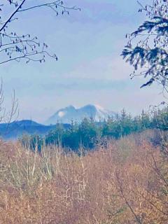 Entire Cabin Deerisland getaway - 4