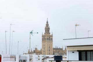 Casa Palacio Alfalfa 30 l Historic Palace near the Giralda - 6