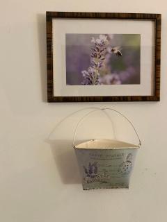 Pension Stadthalle - 4