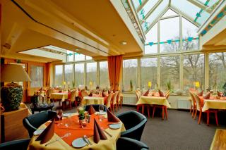Landhotel Püster - Allagen - 1
