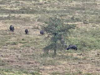 The savannah views homestay Nakuru, kenya - 2