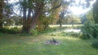 Gutshaus am Nationalpark Unteres Odertal - 3