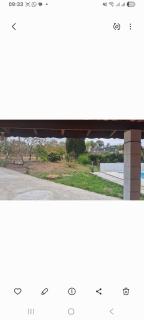 Chácara Bassote - 4