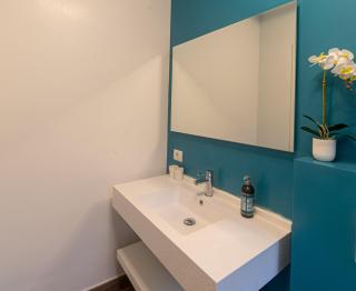 Eucalyptus Essenza - Retreat Riviera dei Fiori - 5