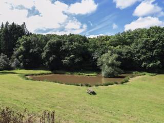Stylish Studio with Parking, Countryside Views & Fast Wifi - 1