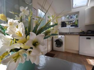 3 Bed in Appledore 78958 - 1