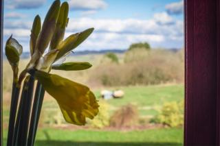 2 Bed in Cardiff oc-91710 - 7