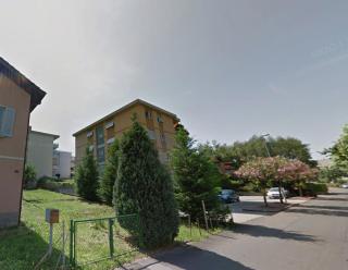 Lucia's House Stars - 3