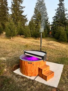 Carpathic Chalet - 4