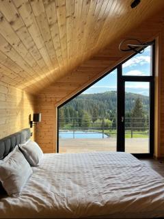 Carpathic Chalet - 1