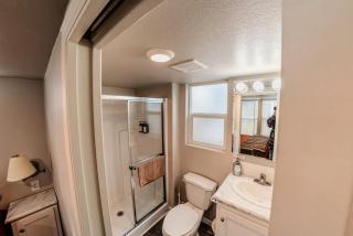 Pine Tree Arch Cabin #15 - 5