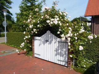 Watthuus Kiebitzhörn ground floor - 4