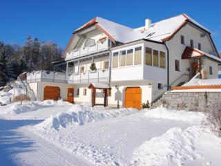 Apartment Panorama-Studio in Pfarrkirchen by Interhome - 8