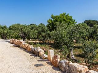 Apartment Wohnung Fico by Interhome - 1