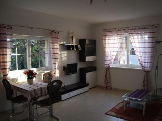 Apartment Florian 3 in Bezirk 21-Floridsdorf by Interhome - 3