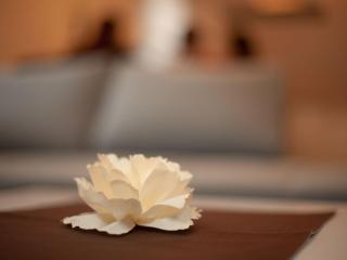 Apartment Komfortable Ferienwohnung in Stubenberg Am See mit Garten by Interhome - 3