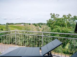 Apartment dasWeinbergblick - Landhaus dasThomas by Interhome - 1