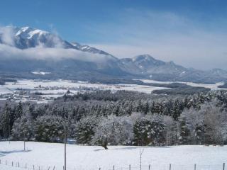 Apartment Typ 3 im Haus Huber in Bleiburg by Interhome - 6