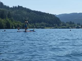 Apartment Draublick by Interhome - 3