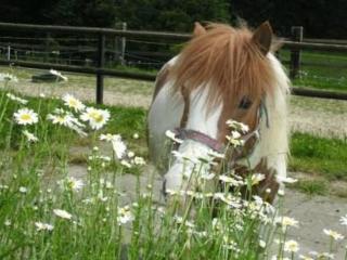 Apartment Muessache by Interhome - 3