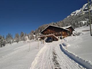 Holiday Home Willenschwand Adelboden by Interhome - 9