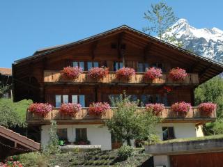 Apartment Uf dr Liwwi by Interhome - 2