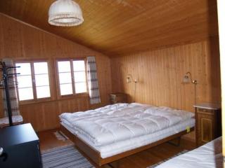 Apartment Engi by Interhome - 1