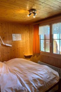 Holiday Home Chalet Glücksfall by Interhome - 3