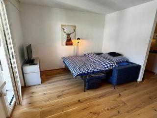 Apartment Gemütliche Ferienwohnung im Zentrum Sörenberg by Interhome - 2