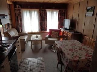 Apartment Des Alpes 4-Bettwohnung by Interhome - 7