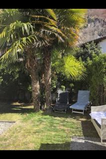 Apartment Tessin by Interhome - 7