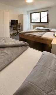 Großzügige OG Ferienwohnung in Linkenheim frieden apartments - 2