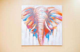 Kendel Appart Chb salon - 1