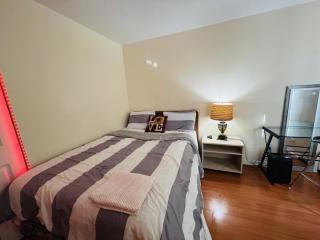 Room in citrus park and carollwood, close to the airport & downtown - 4