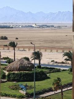 Avrio Red Sea - 4