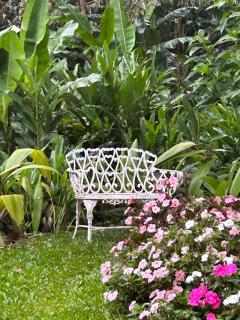 Vale Vijaya bem estar em meio à natureza - 7