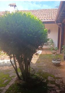 Recantos das Avencas - 2