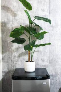 Hill Country Haven: Gateway to TXST and San Marcos - 6