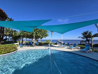 Indigo Belize 5C condo - 7