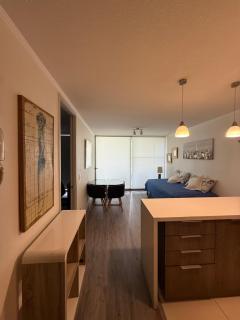 Depto a 2 pasos Mall Parque Arauco 301 - 9