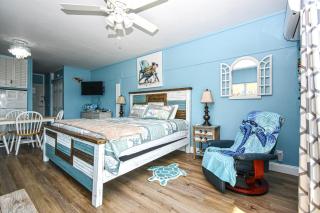 Cedar Key Turtle 132 - Cedar Key - 6